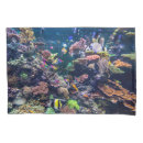 Search for underwater pillowcases Beach