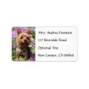 Search for yorkie puppy return address labels Yorkshire terrier
