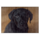 Search for labrador cutting boards Cute baby animal