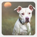 Search for white pitbull stickers Pets