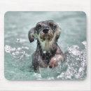 Search for paddling mousepads Cute