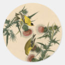 Recherche de audubon autocollants John james audubon