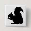 Search for squirrel square buttons Cartoon