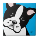 Recherche de boston carreaux Chiot