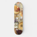 Search for shell skateboards Beach