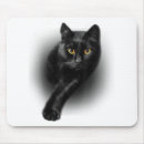 Search for black tee shirt electronics Kitten