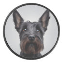 Search for hockey pucks Animal