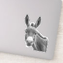 Recherche de funny donkey Animal