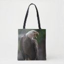 Recherche de tête sacs Photographie de la faune