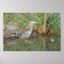 Recherche de woodland posters Oiseau