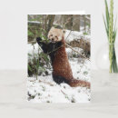 Search for panda christmas cards Red