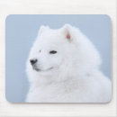 Search for eskimo electronics Puppy