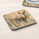 Search for deer coasters Animals