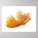 Recherche de oiseau phoenix art Renaissance
