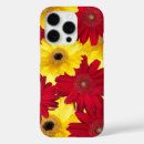 Search for gerbers photography Gerbera