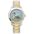 Search for wild duck accessories Animal