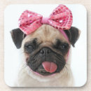 Search for pug coasters Funny