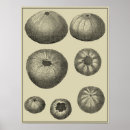 Recherche de sable blanc art Côtier