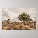 Search for approachable posters Landscape