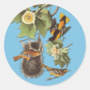 Recherche de audubon autocollants Observation des oiseaux