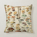 Search for mushroom pillows Plant