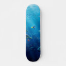 Recherche de studio skateboards Blue tang fish