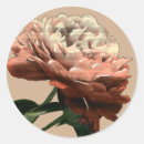Search for red white stickers Floral