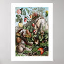 Search for snails posters Mollusc
