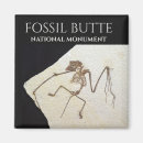 Search for fossils magnets Geology