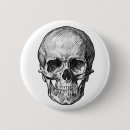 Recherche de crâne humain badges Anatomie