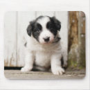 Search for bordered image mousepads Photography