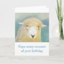 Search for sheep cards Barnyard