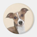 Recherche de levrier magnets Italien