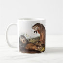 Recherche de marmottes tasses Mammifère