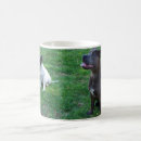 Search for staffy gear mugs Puppy