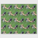Search for beagle puppy wrapping paper Puppies
