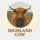 Search for highlands stickers Cattle