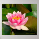 Recherche de ouvert posters Photographie