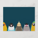 Recherche de moineaux cartes postales Moineau java