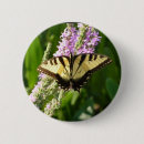 Recherche de pourpre de fleur badges Violet