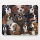 Search for cavalier mousepads Spaniel