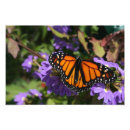 Search for flutter art Flower