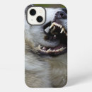 Search for wolf cases Montana