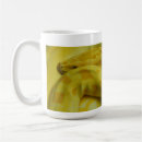 Search for albino mugs Python