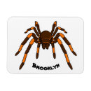Search for tarantulas magnets Arachnid