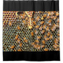 Search for honey bee shower curtains Honeycomb