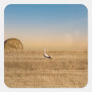 Search for hay bale stickers Landscape