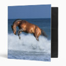 Search for sell binders Horse