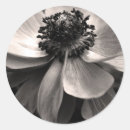 Search for with sympathy stickers Flower