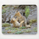 Search for wild one mousepads Animal